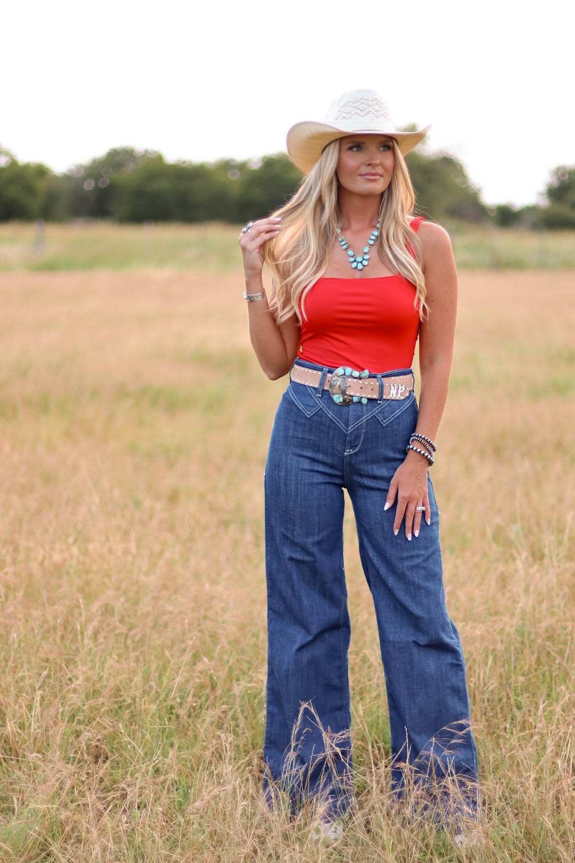 THE ARIAT KEMP JEANS