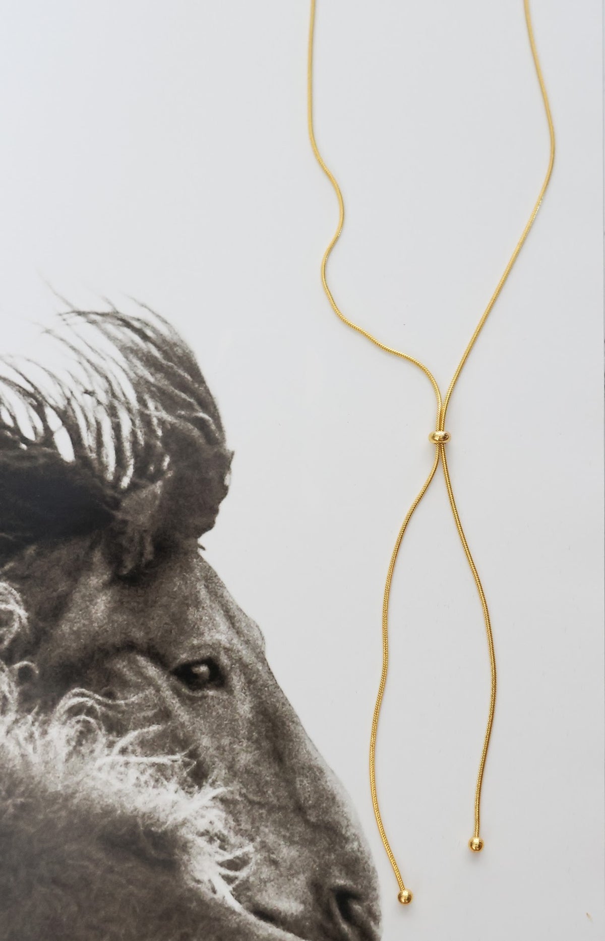 THE PASCO NECKLACE