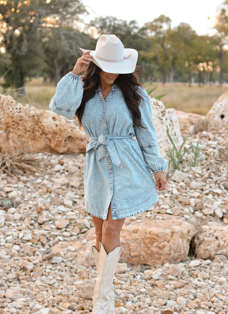 THE JESS DENIM DRESS