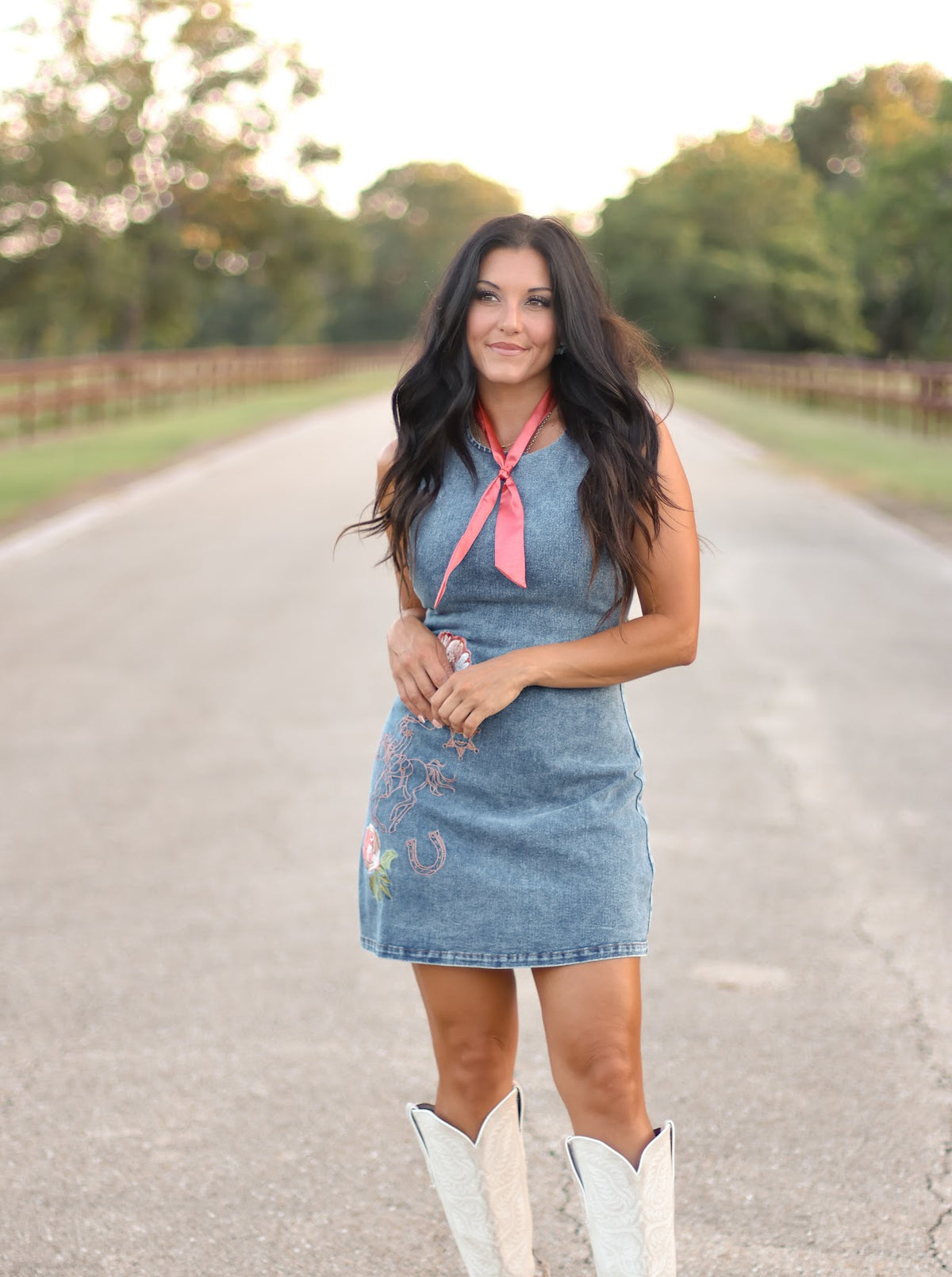 THE VIRGINIA DENIM DRESS