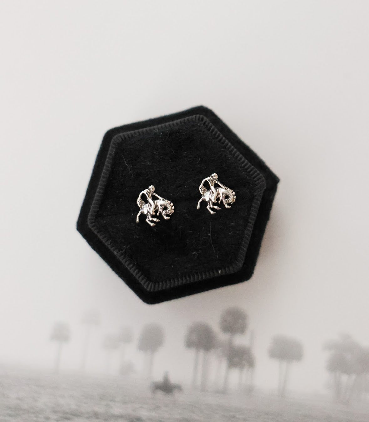 THE BRONC STUD EARRINGS