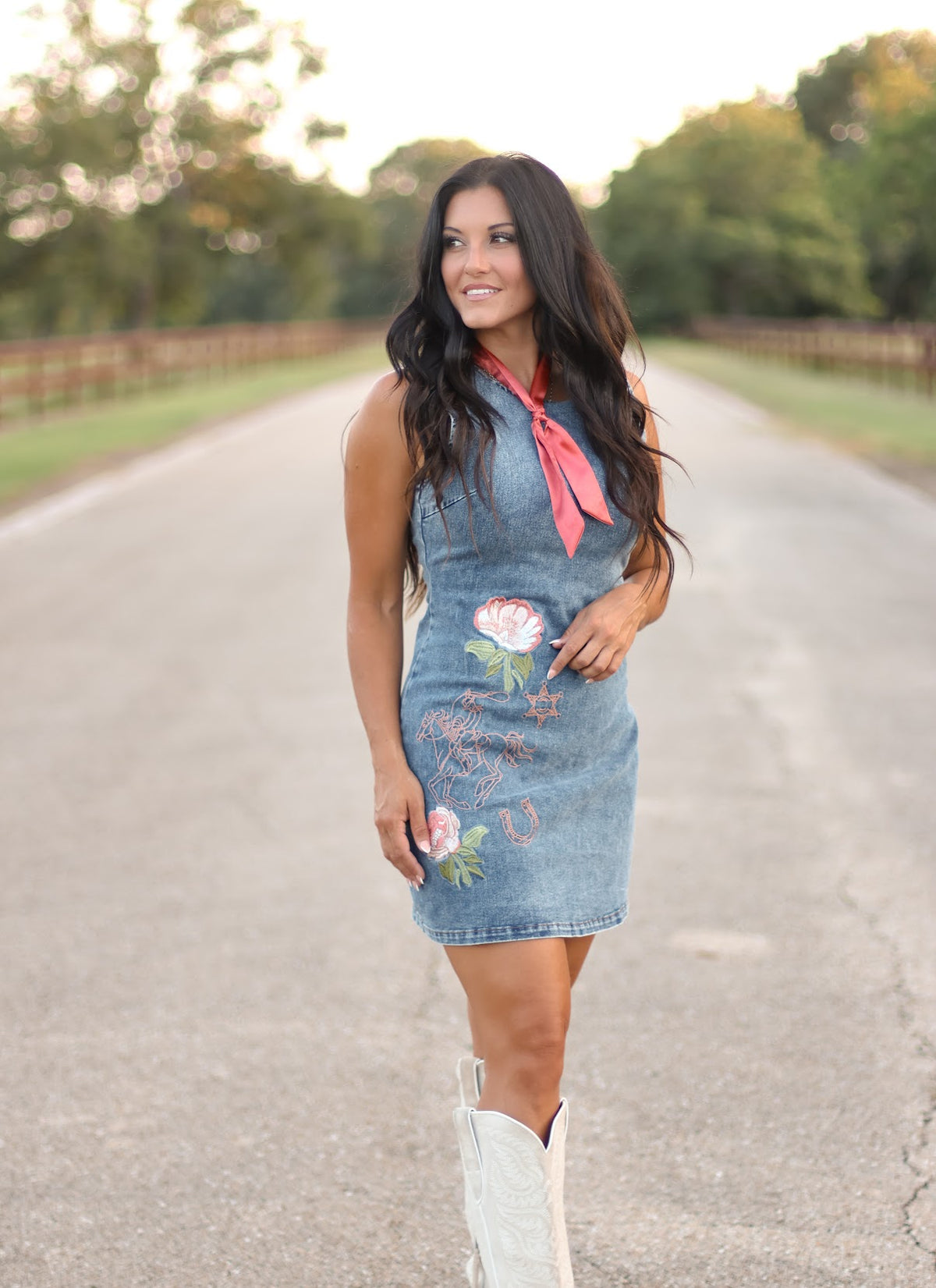 THE VIRGINIA DENIM DRESS