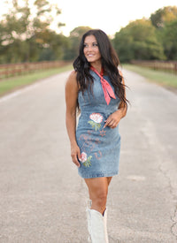 THE VIRGINIA DENIM DRESS