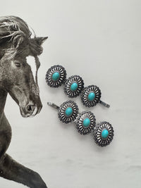 WESTERN HAIR PINS