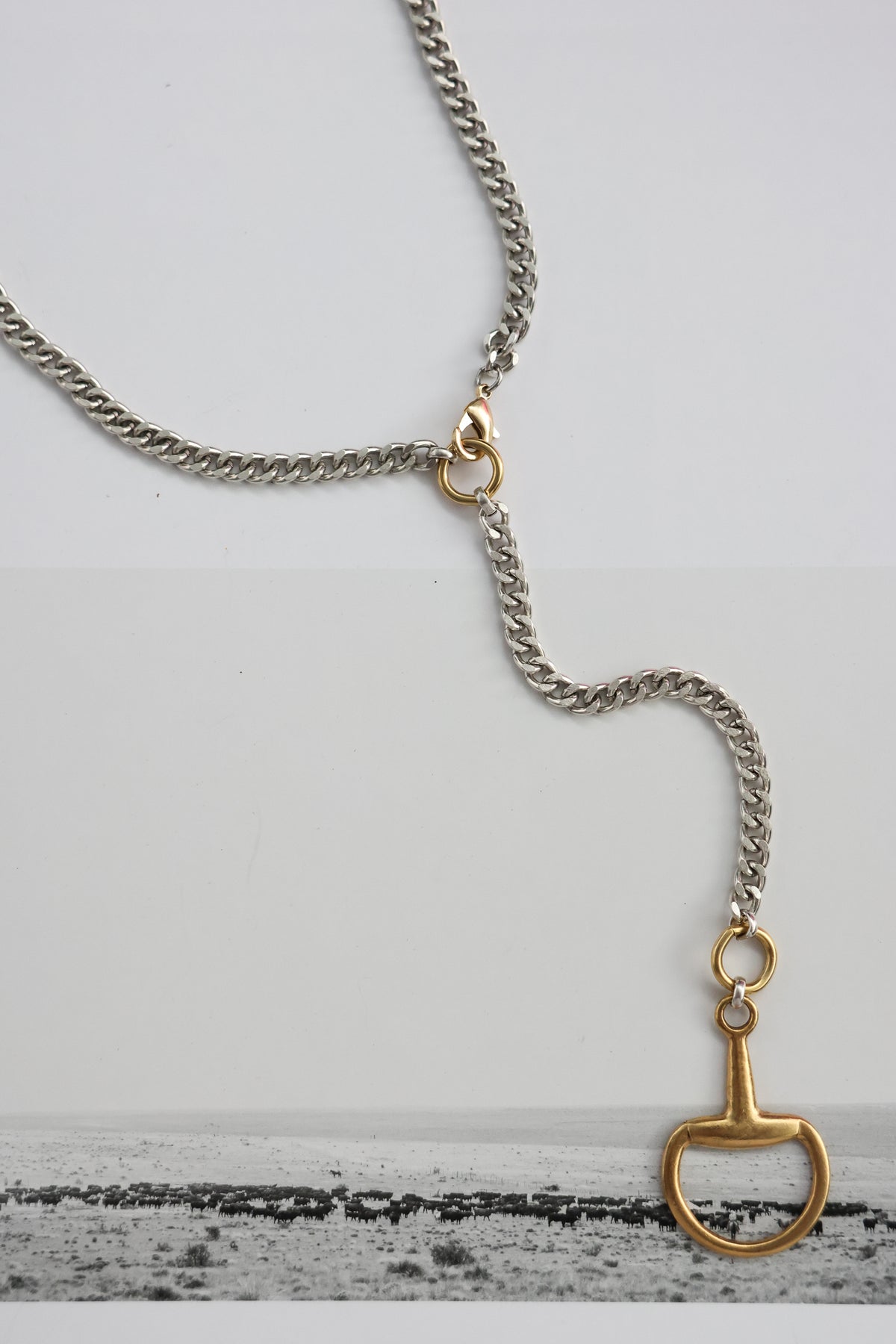 THE AMBER NECKLACE