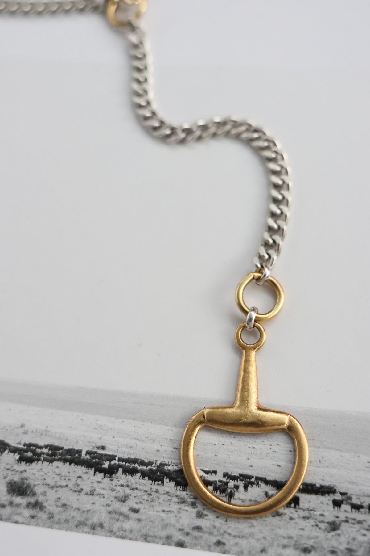 THE AMBER NECKLACE