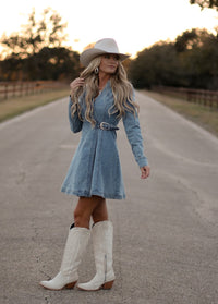 THE KASH DENIM DRESS