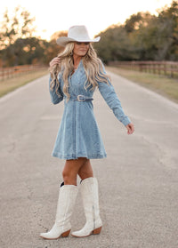 THE KASH DENIM DRESS