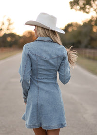 THE KASH DENIM DRESS