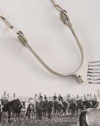 THE DUSTY NECKLACE