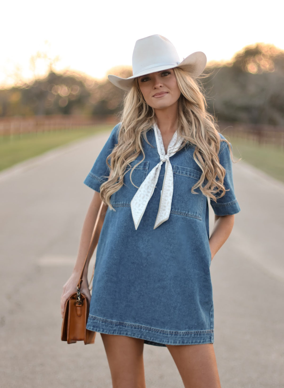 THE FORD DENIM DRESS
