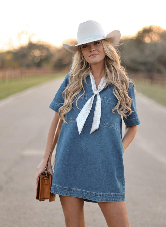 THE FORD DENIM DRESS