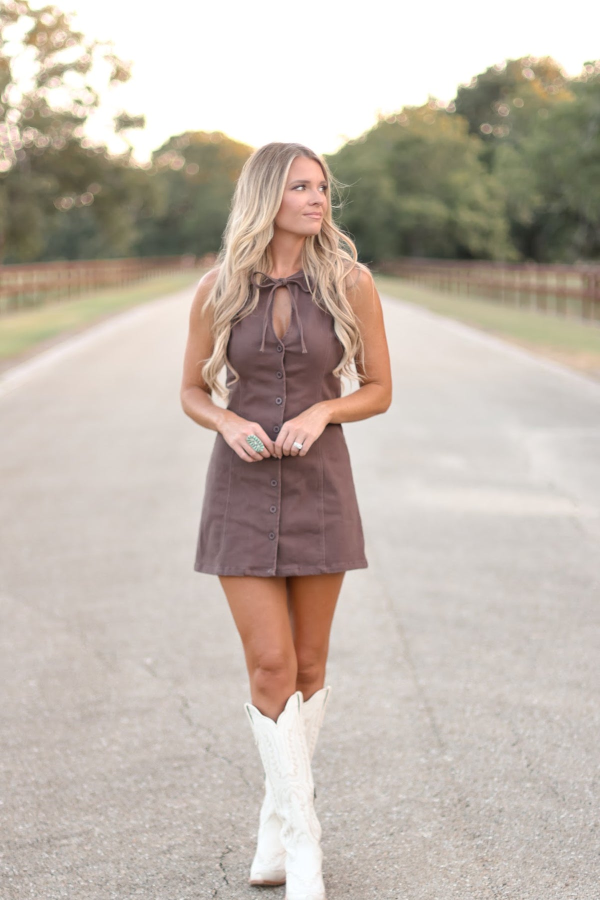 THE PAISLEY DRESS