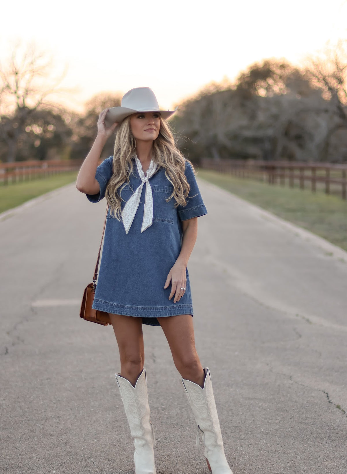 THE FORD DENIM DRESS