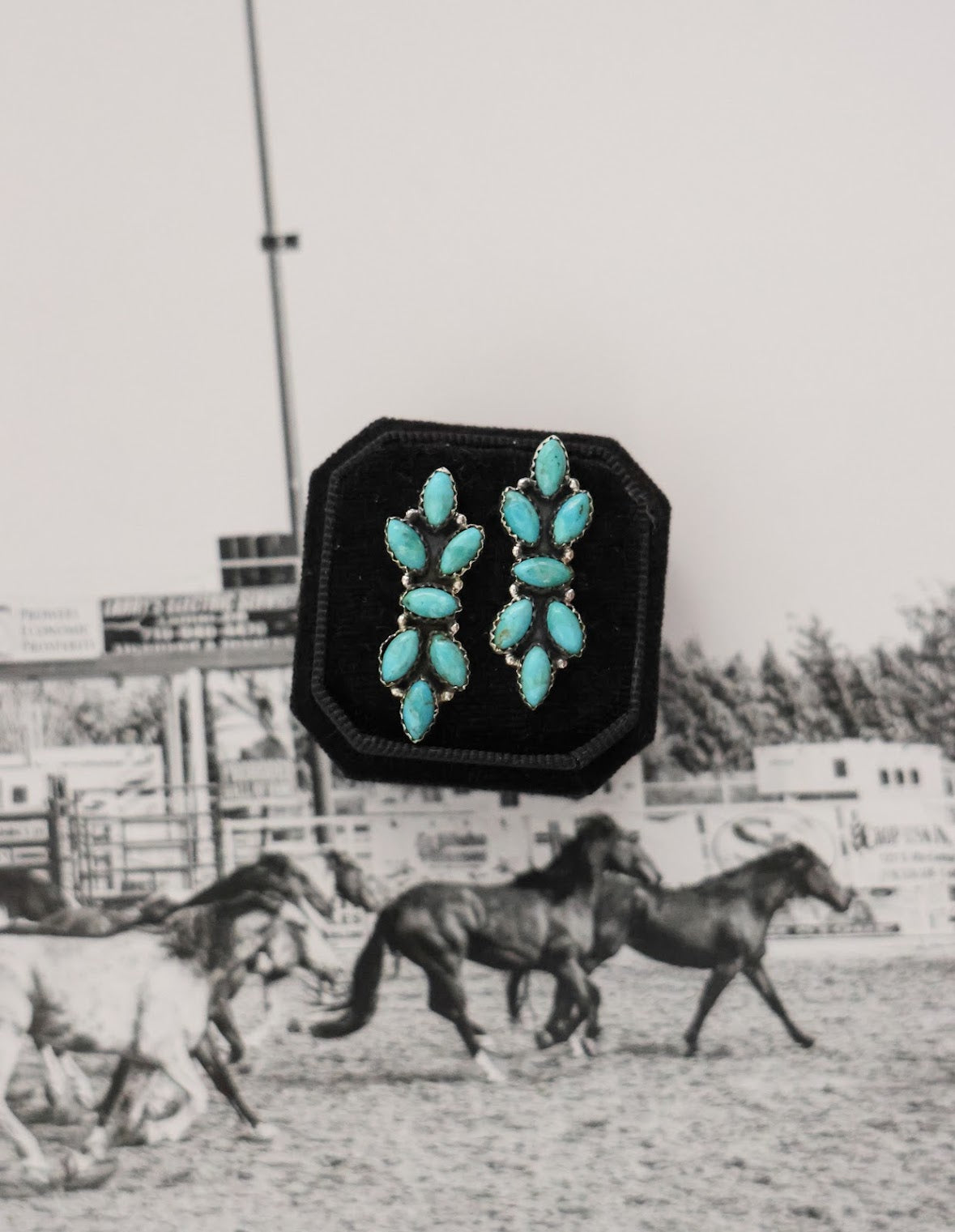 THE LUCIE EARRINGS