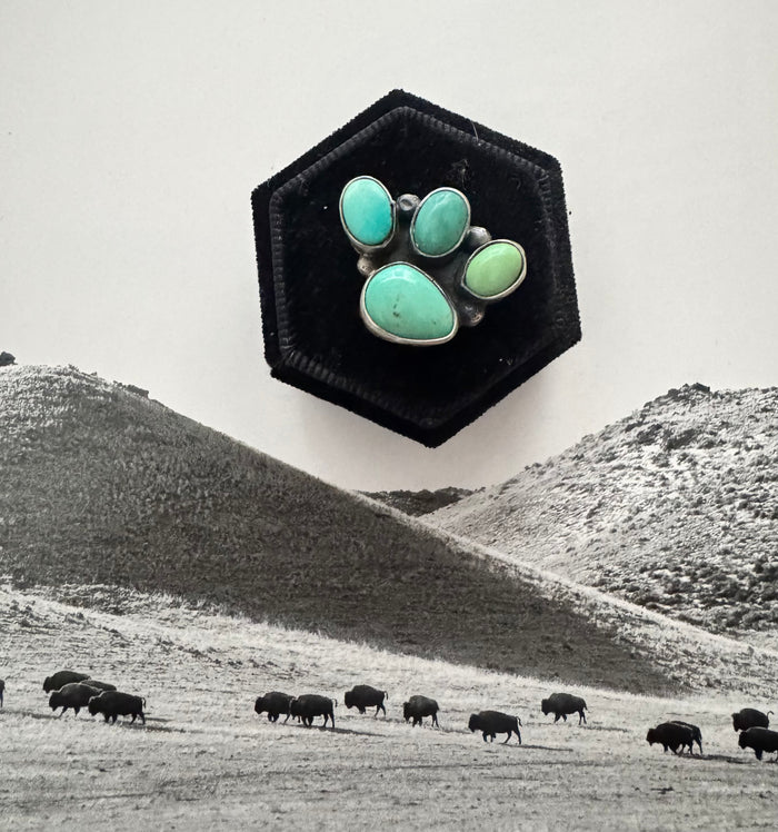 THE DREMA RING