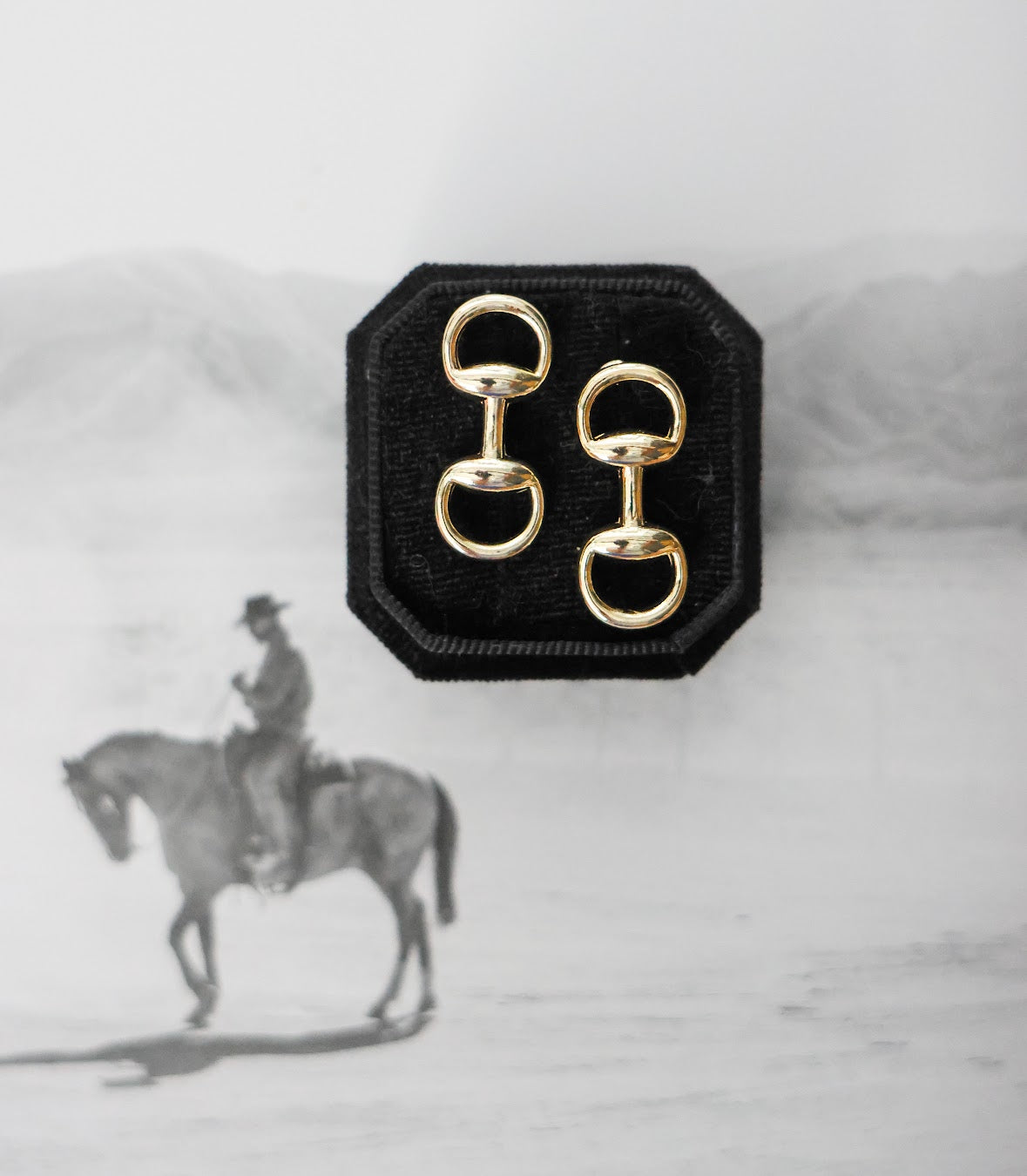 THE PIPA HORSE BIT EARRINGS