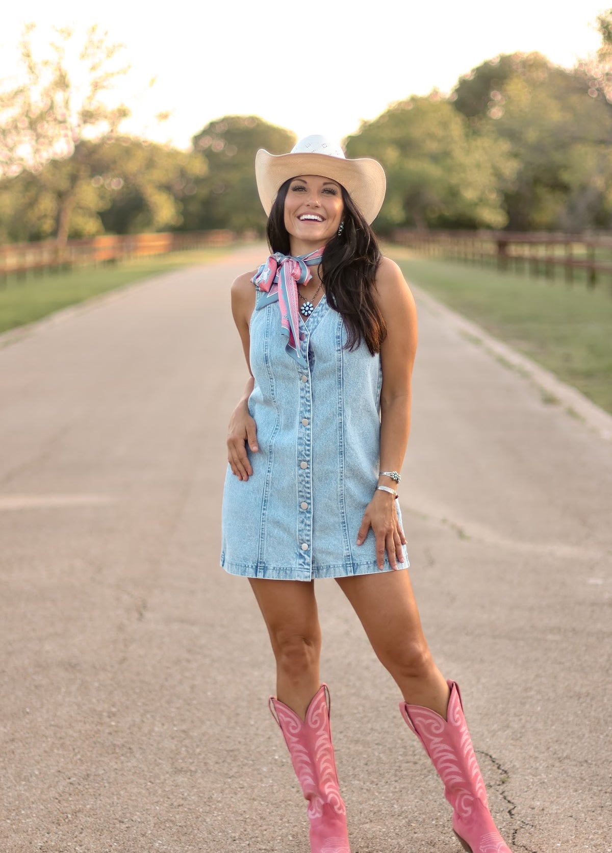 THE CANTON DENIM DRESS