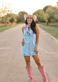 THE CANTON DENIM DRESS