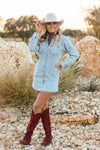 THE LUNA DENIM DRESS