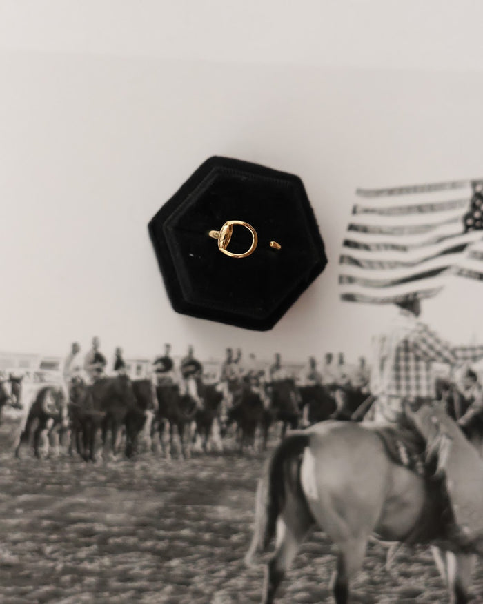 THE SNAFFLE RING