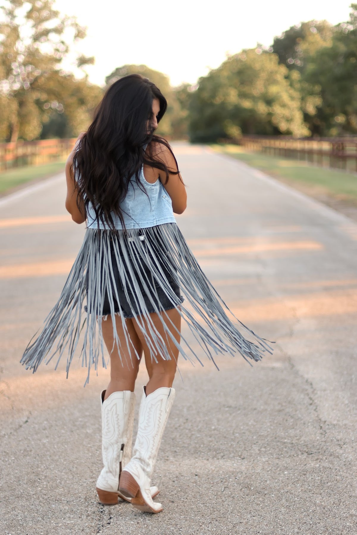 THE WESLIN DENIM VEST