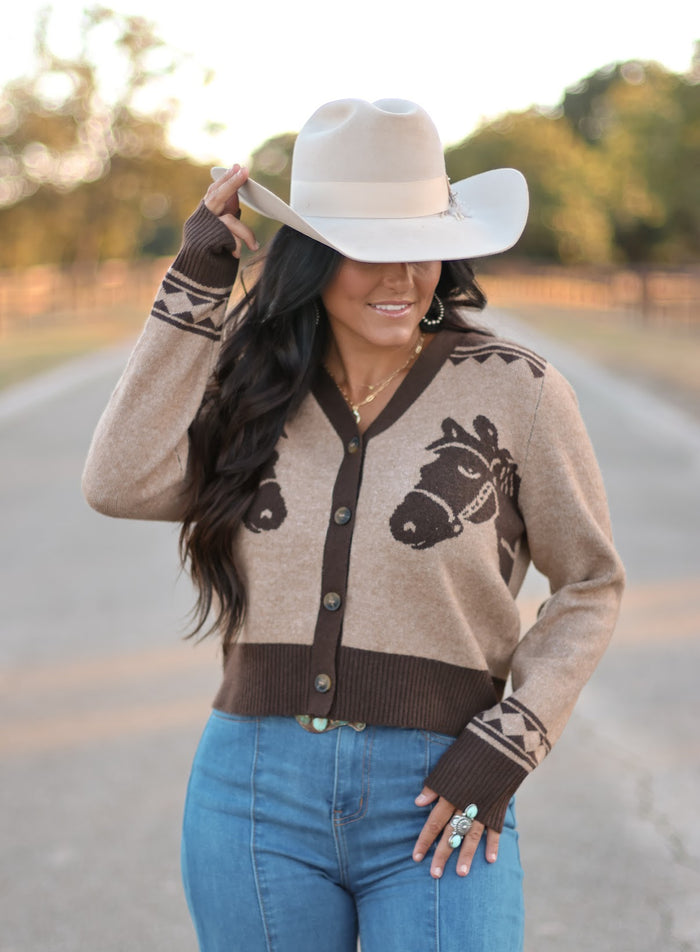 ARIAT COLTER CARDIGAN