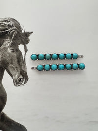 WESTERN HAIR PINS