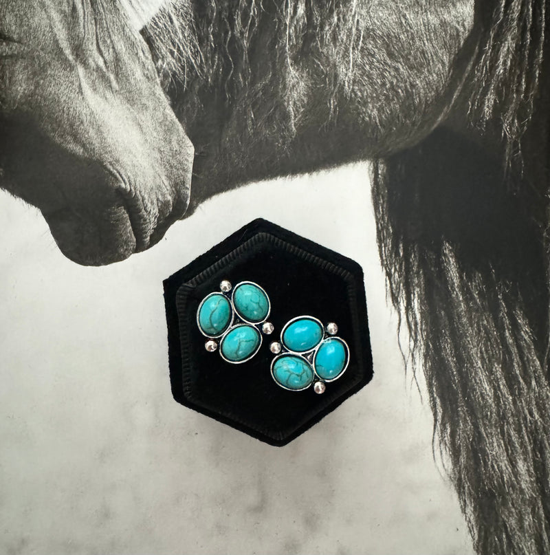 WESTERN BALL STONE STUD EARRINGS