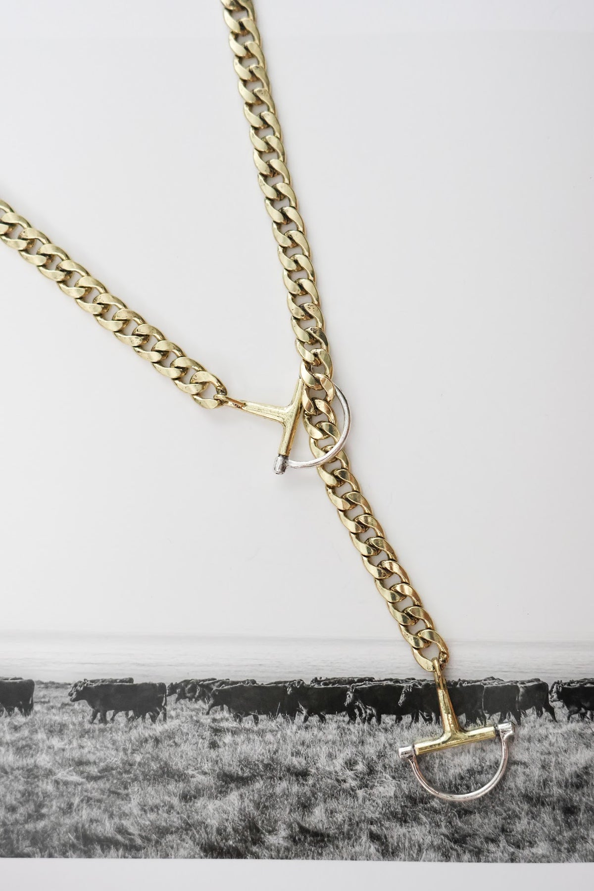 THE CHASITY LARIAT HORSE BIT NECKLACE