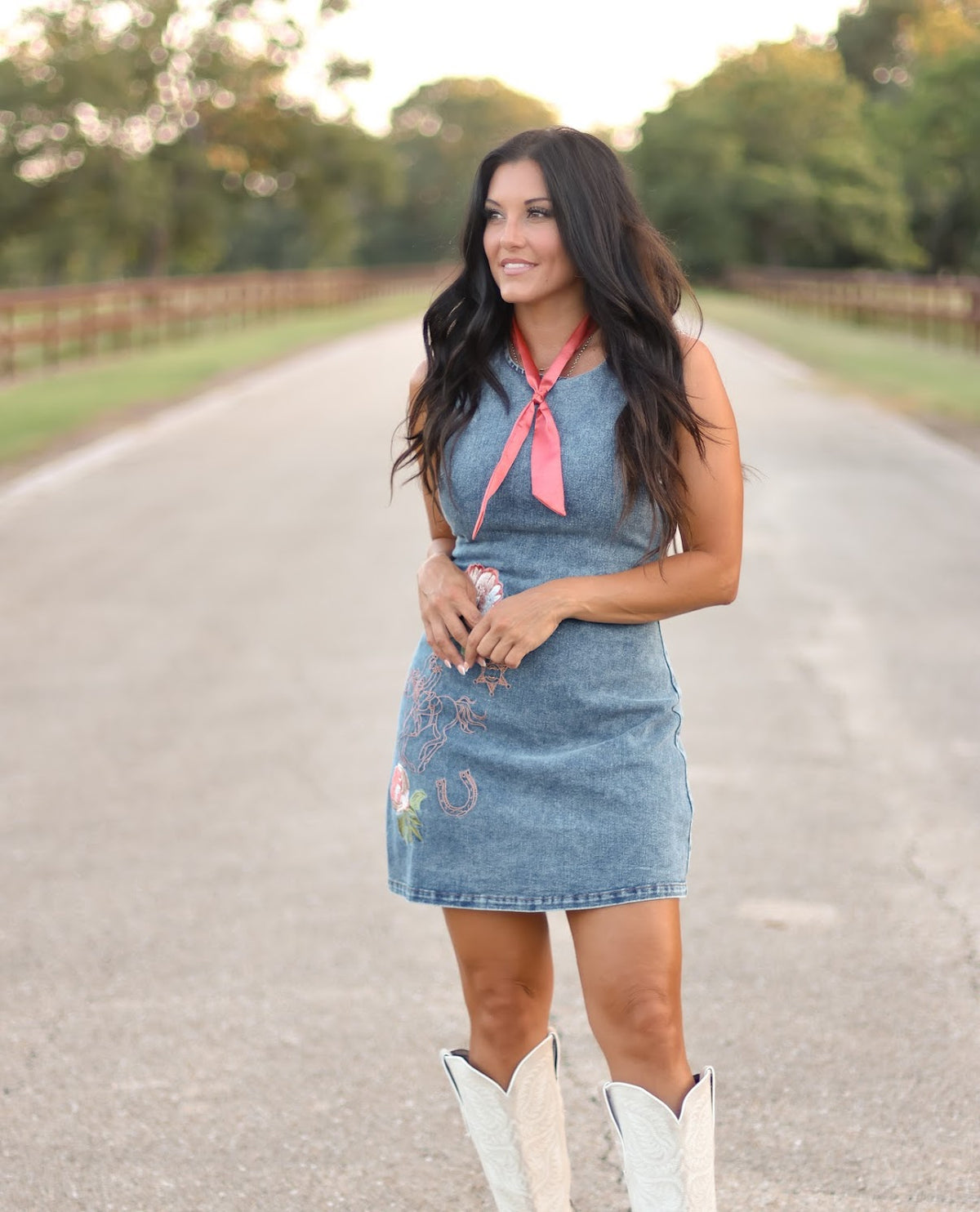 THE VIRGINIA DENIM DRESS