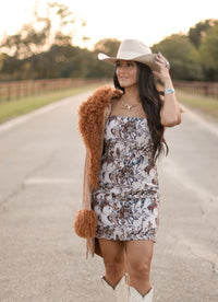 THE WESTY DRESS